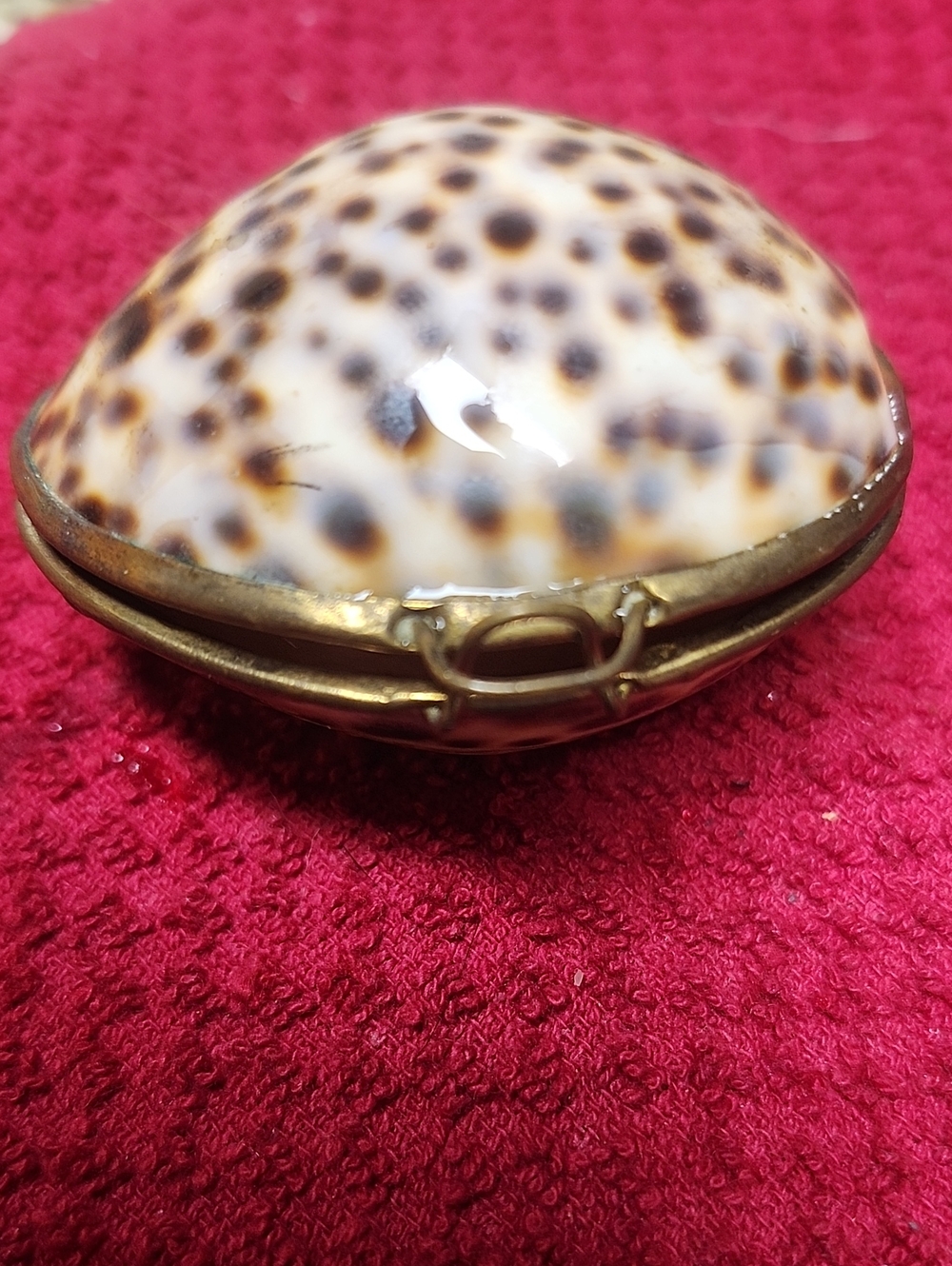 Vintage Shell Clam Compact Trinket Case - Brown Speckled